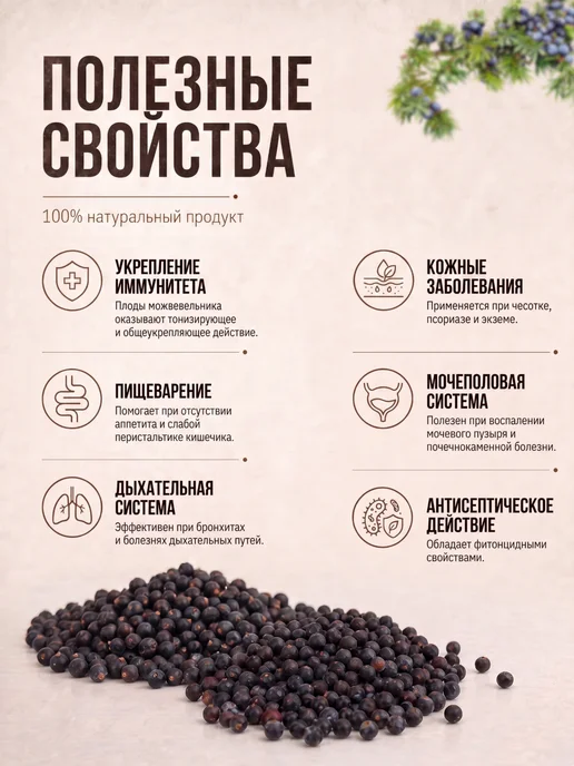 ALEZHEN Плоды можжевельника 50 г, 50 г, фото 2