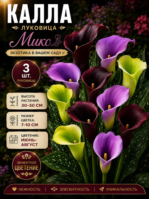 Калла Луковицы Микс 3шт, 3 шт