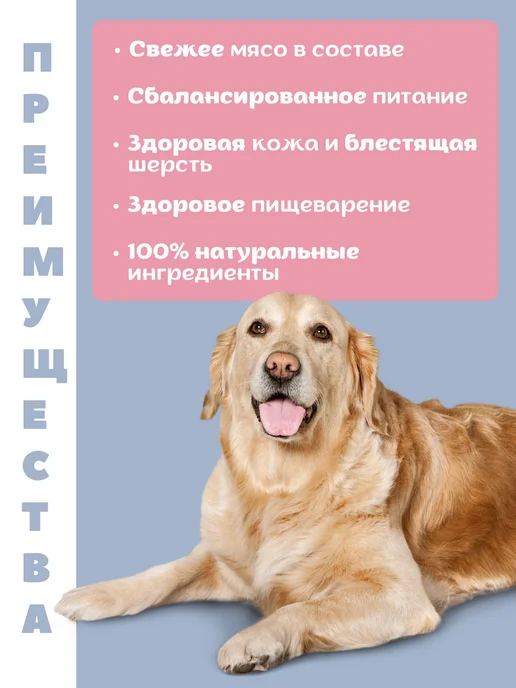 Сухой корм AlphaPet Menu для собак, говядина, 2 кг, фото 2