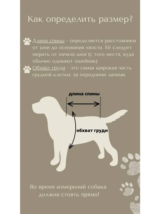 RinaKionni Комбинезон для собак зимний, коричневый, фото 5