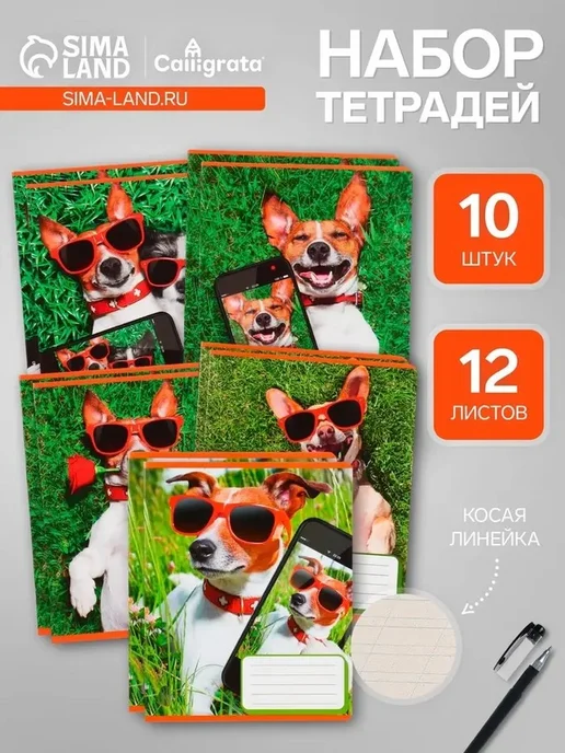 Набор учебных тетрадей с собачками, 10 шт, 10 шт