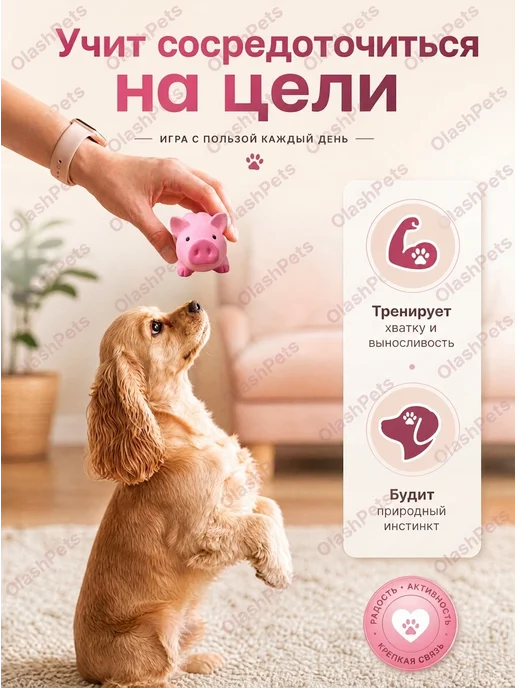 Olash Pets Игрушка для собак и щенков бутылка - пищалка, вариант, фото 2