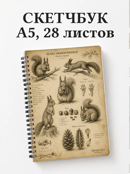Скетчбук Белки
