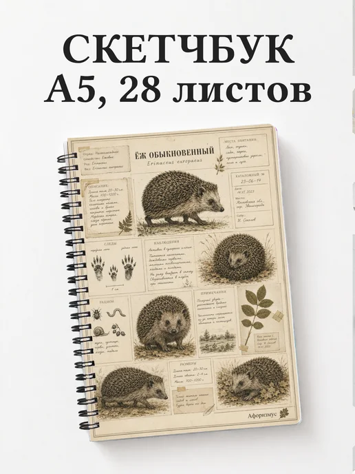 Скетчбук Ежи