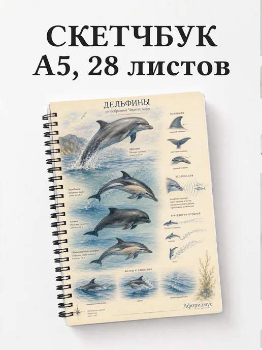 Скетчбук Дельфины