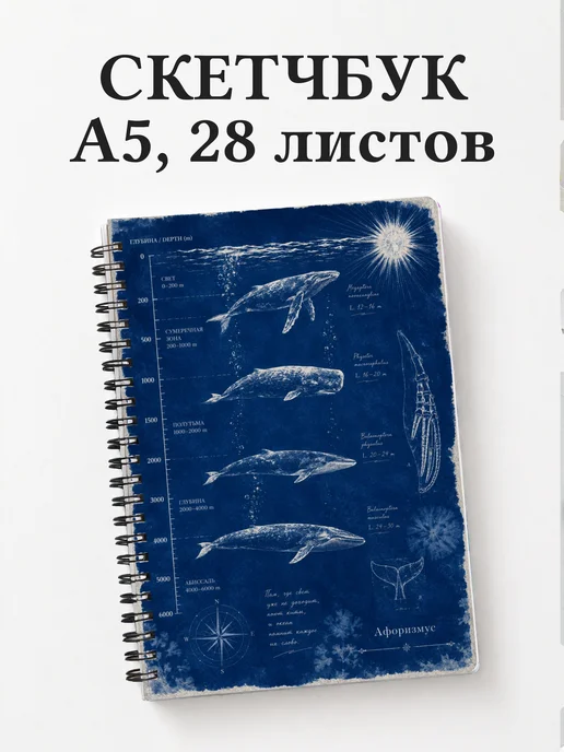 Скетчбук Киты