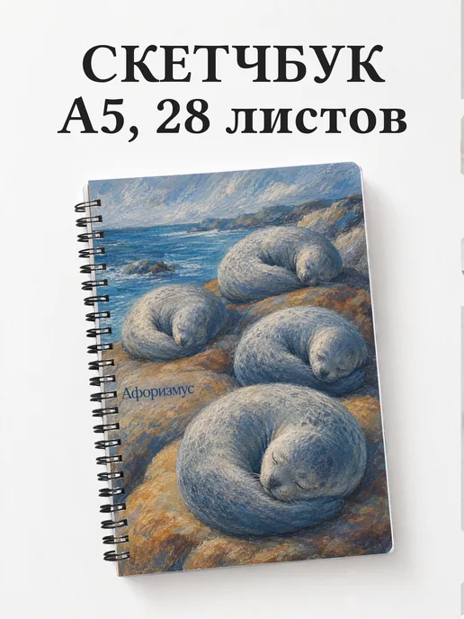 Вариант 243 (seals)