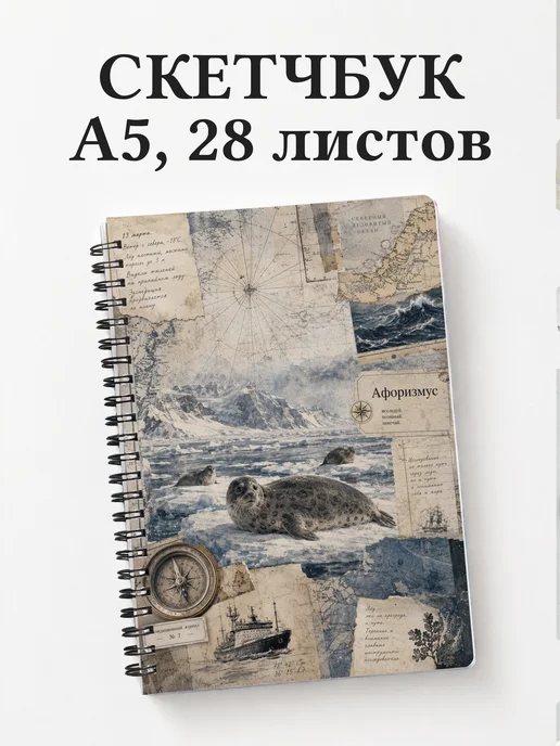 Вариант 243 (seals)