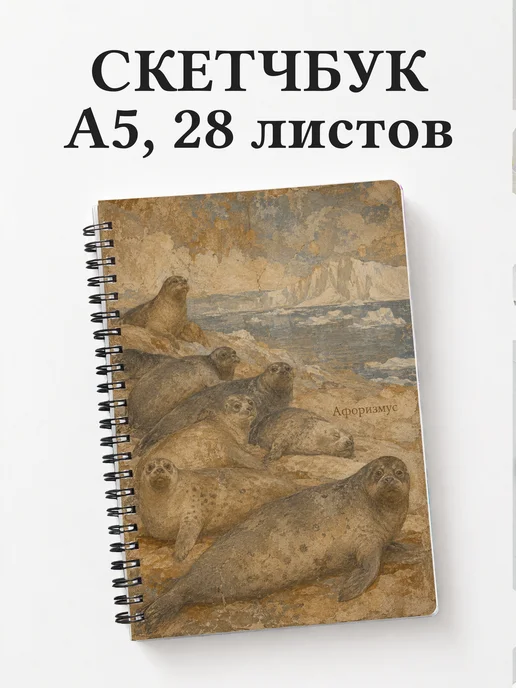 Вариант 243 (seals)