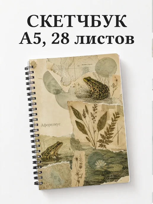 Скетчбук Лягушки
