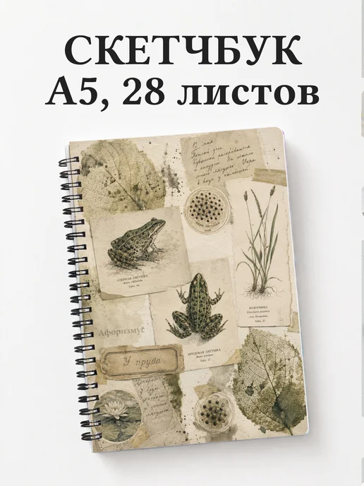 Скетчбук Лягушки
