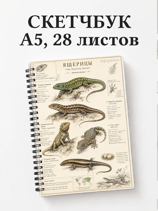 Скетчбук Ящерицы