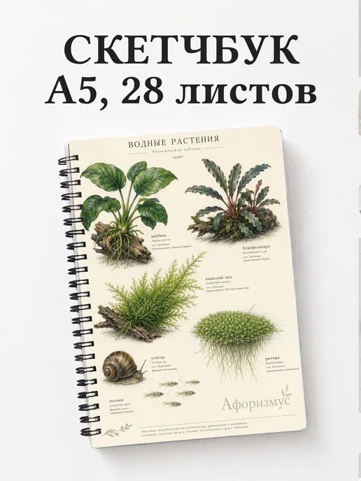 Скетчбук аквариумиста