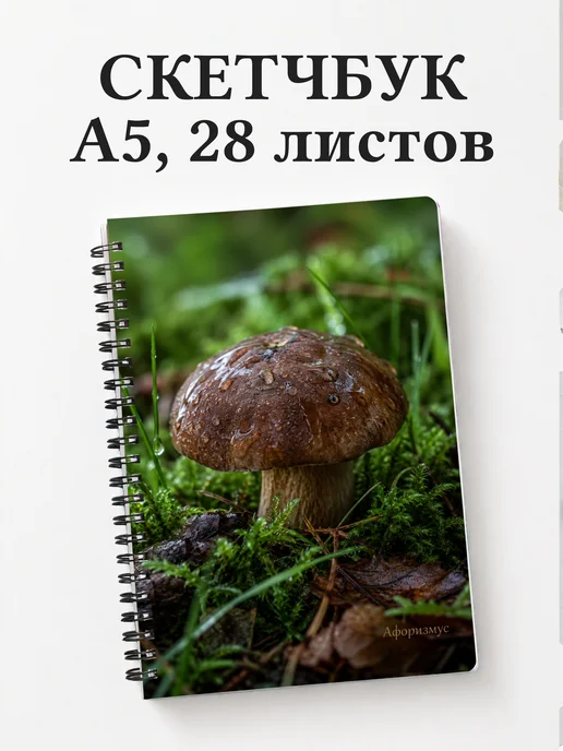 Скетчбук грибника