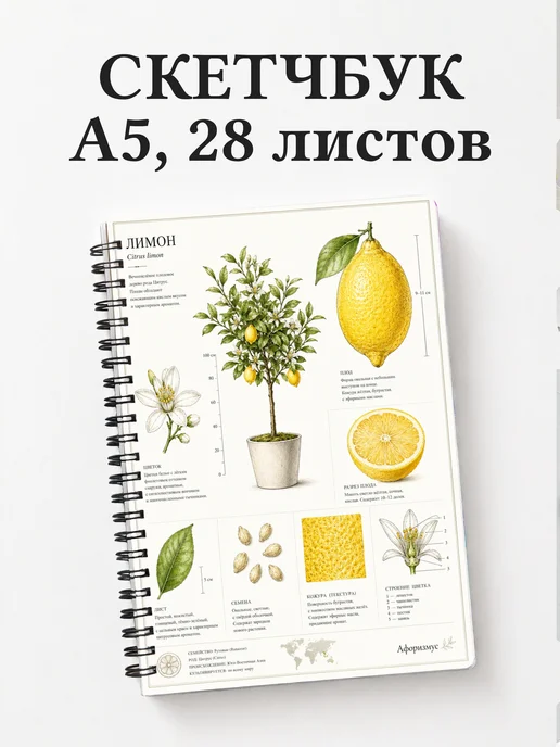 Скетчбук Лимон