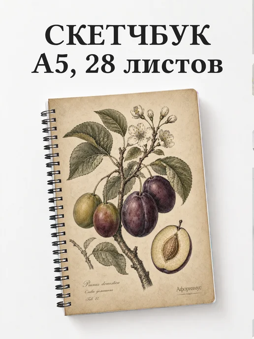 Скетчбук Слива