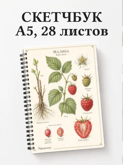 Скетчбук Малина