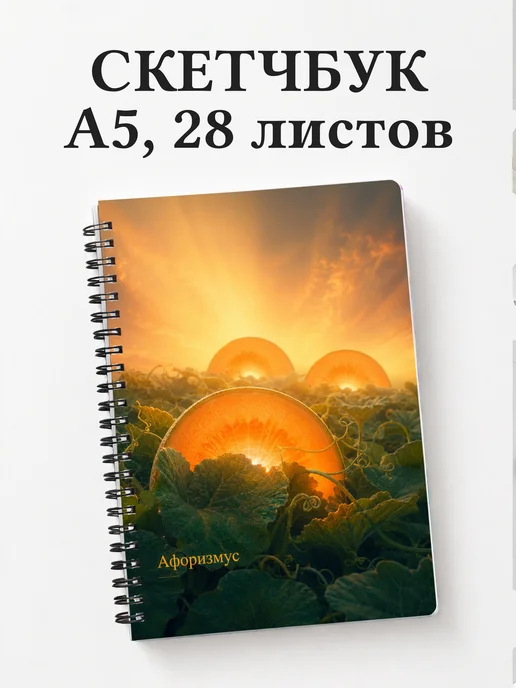Скетчбук Дыня