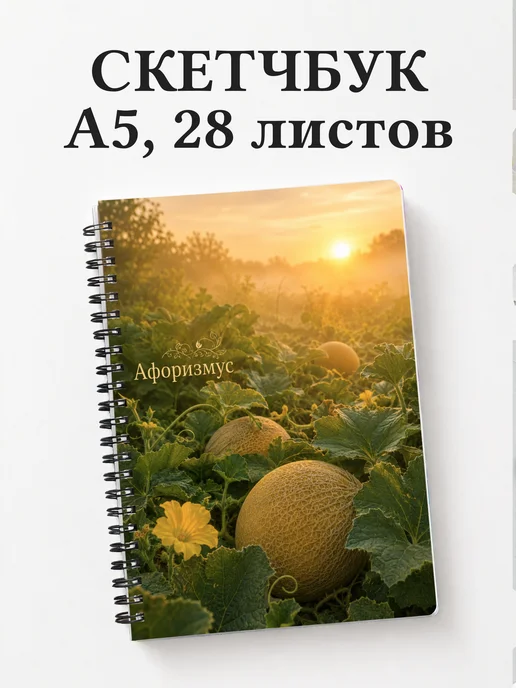Скетчбук Дыня