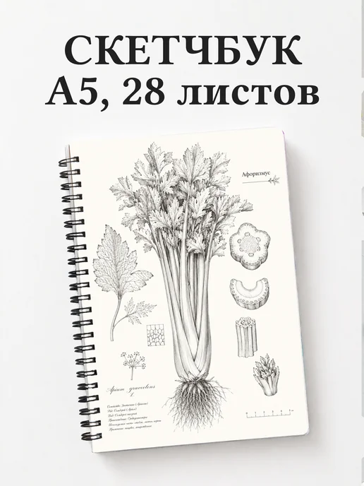 Скетчбук Сельдерей