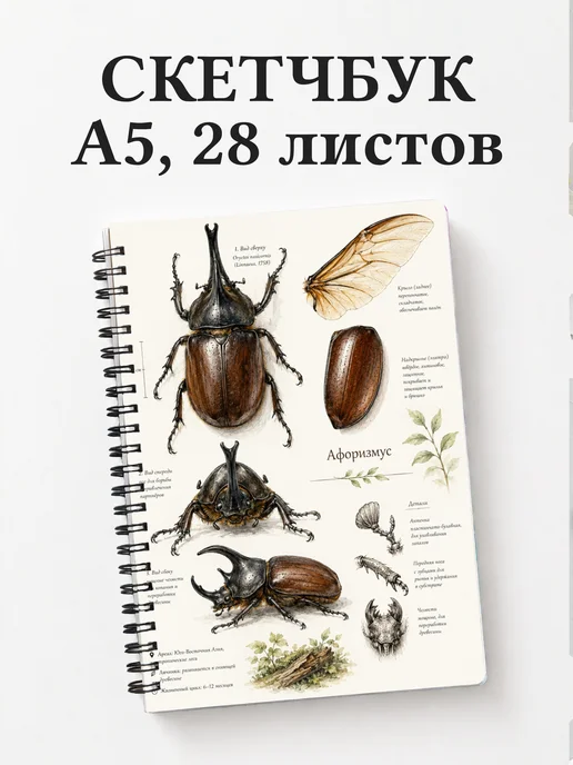 Скетчбук Жук-носорог