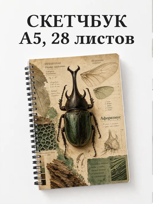 Скетчбук Жук-носорог
