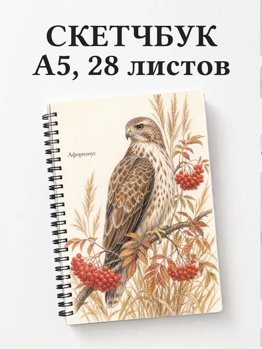 Скетчбук Ястреб