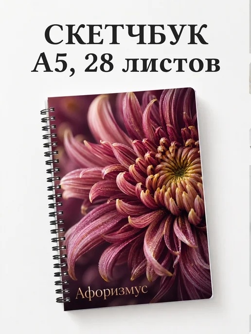 Скетчбук Хризантемы