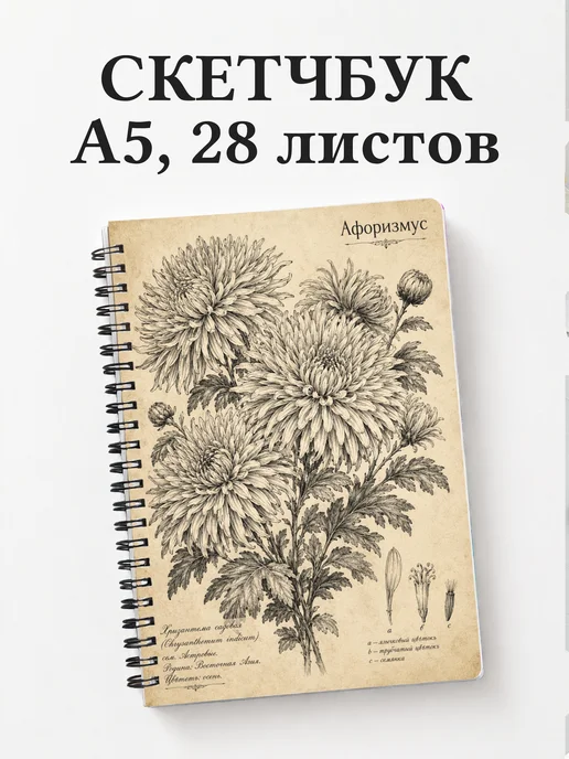 Скетчбук Хризантемы