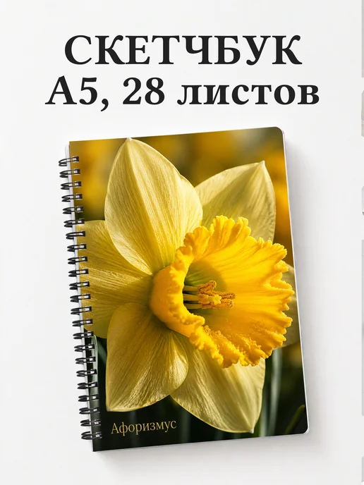 Скетчбук Нарциссы