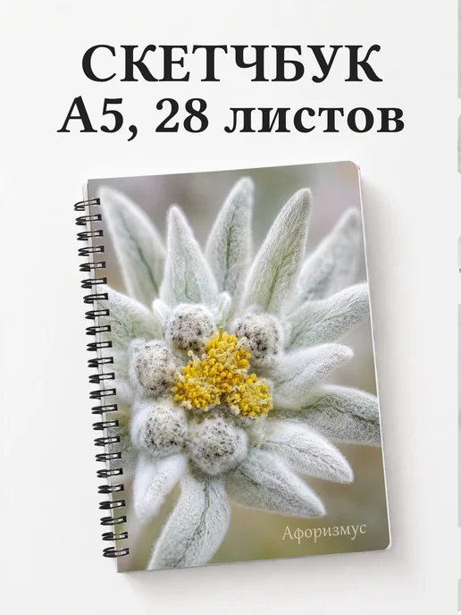 Скетчбук Эдельвейс