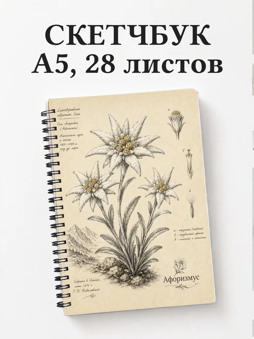 Скетчбук Эдельвейс