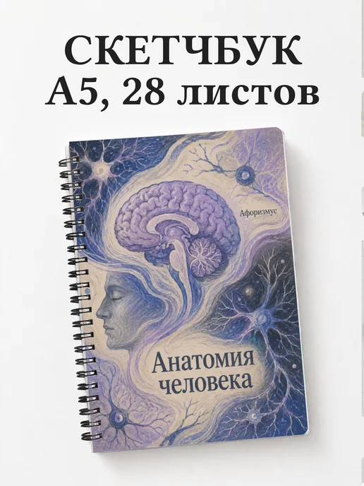 Скетчбук Анатомия человека