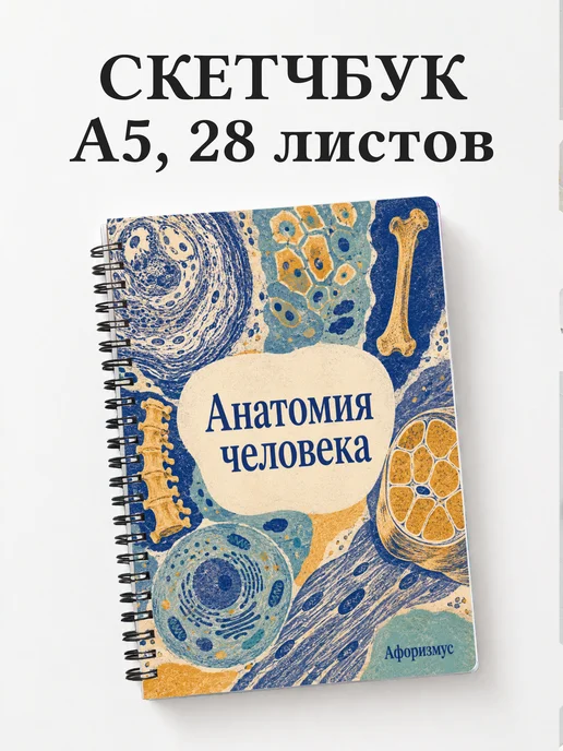 Скетчбук Анатомия человека
