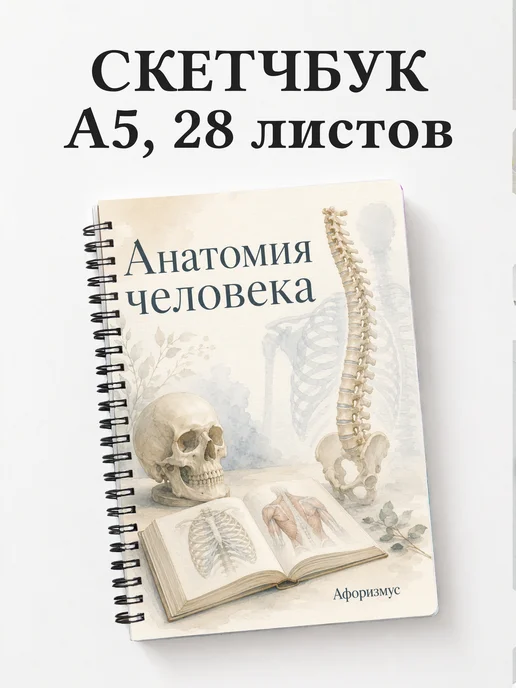 Скетчбук Анатомия человека