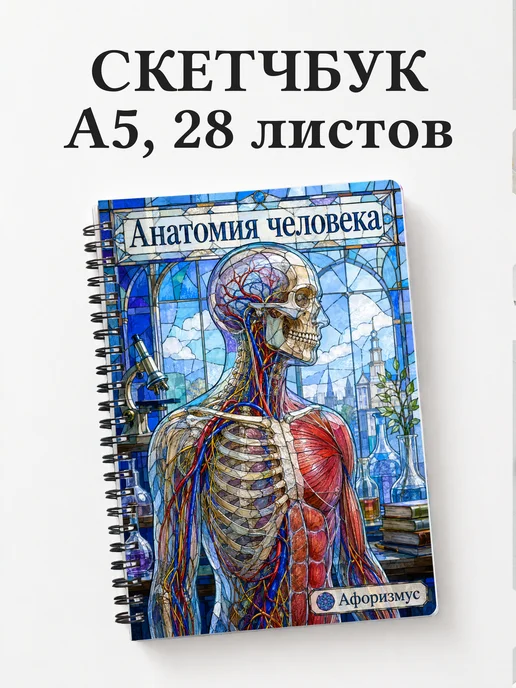 Скетчбук Анатомия человека