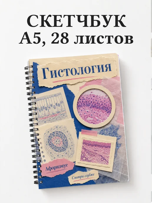 Скетчбук Гистология