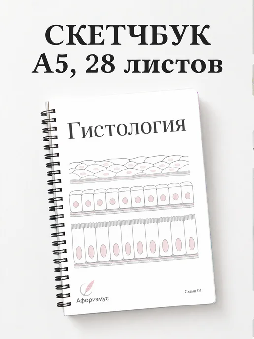 Скетчбук Гистология