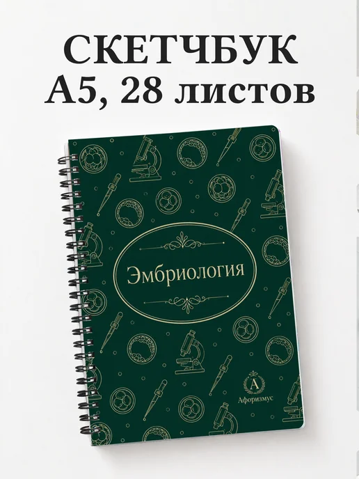 Скетчбук Эмбриология