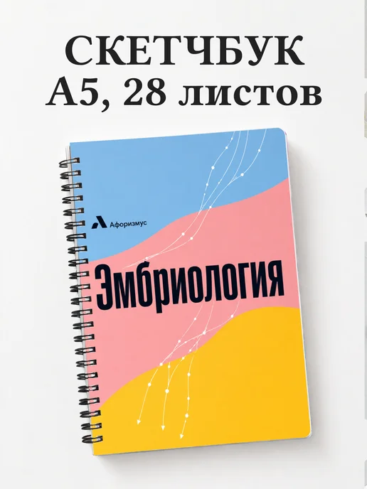 Скетчбук Эмбриология