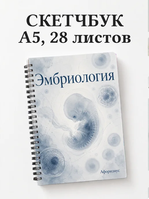 Скетчбук Эмбриология