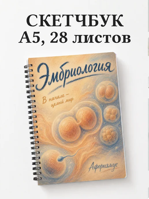 Скетчбук Эмбриология