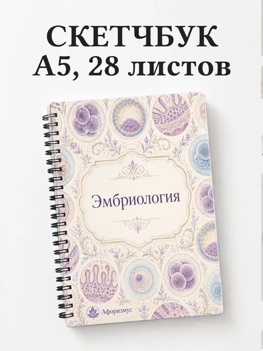 Скетчбук Эмбриология