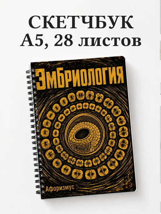 Скетчбук Эмбриология