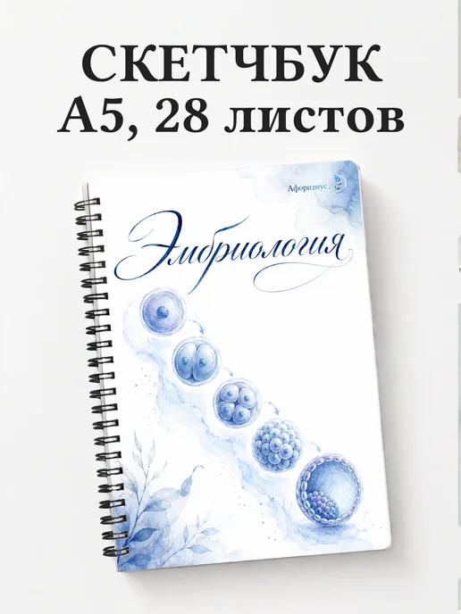 Скетчбук Эмбриология