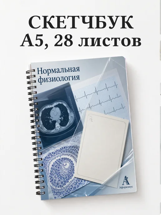 Скетчбук Нормальная физиология