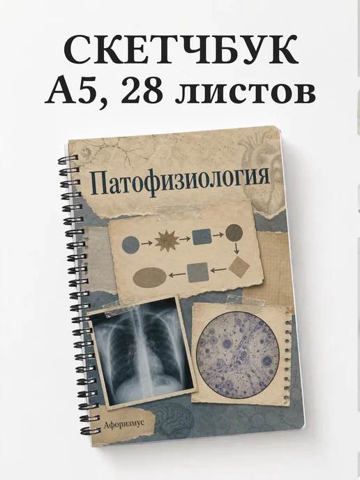 Скетчбук Патофизиология