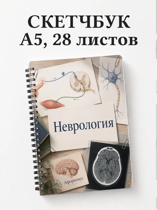 Скетчбук Неврология