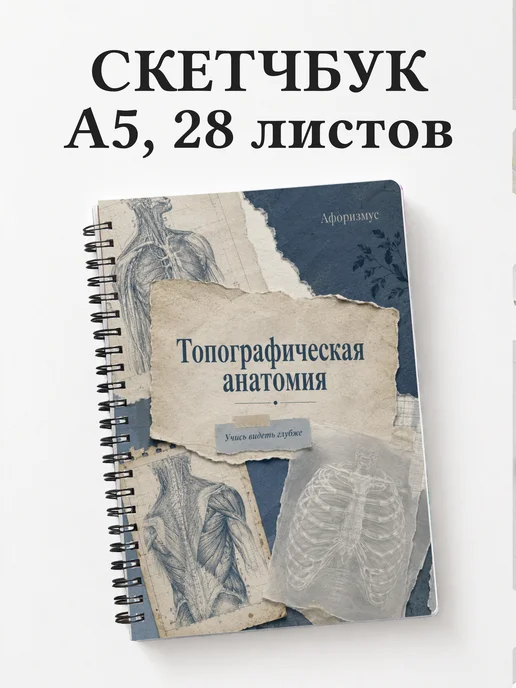 Скетчбук Топографическая анатомия