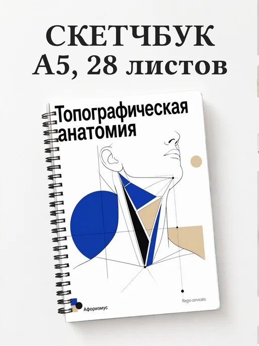 Скетчбук Топографическая анатомия